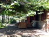 Portico with trees