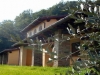 Villa Vacanza Esterno olivi