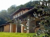 villa-bettona-esterno-olivi