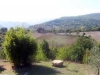 view-villas-tuscany