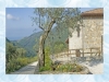 last minute Bed and Breakfast parco cilento