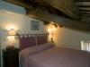 Agilla suite detail