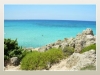 Azienda agricola con camere in Puglia
