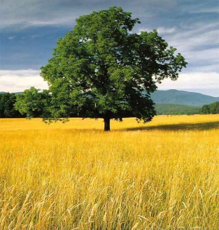 Offerte Agosto: Montefalco