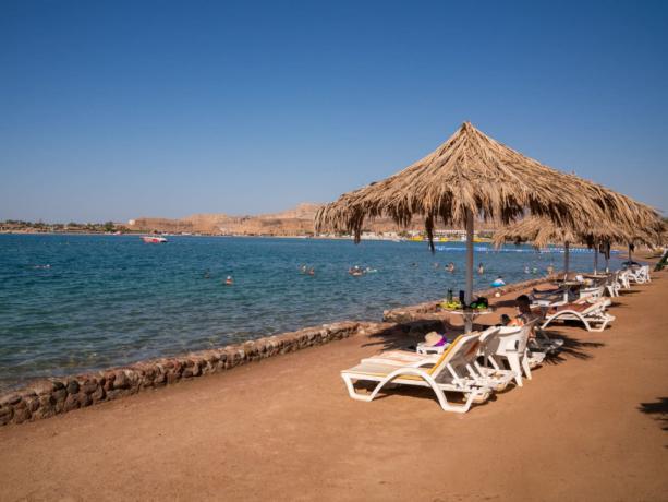 Pacchetti vacanza lastminute famiglie Egitto Sharm all inclusive