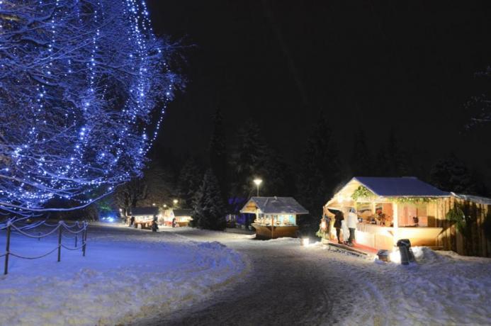 Dormire e Mangiare in Trentino a Levico Terme 