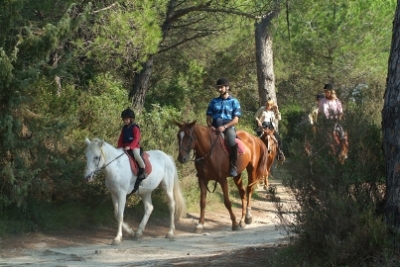 Pineta del Tombolo