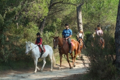 The pinewoods -Pineta del Tombolo