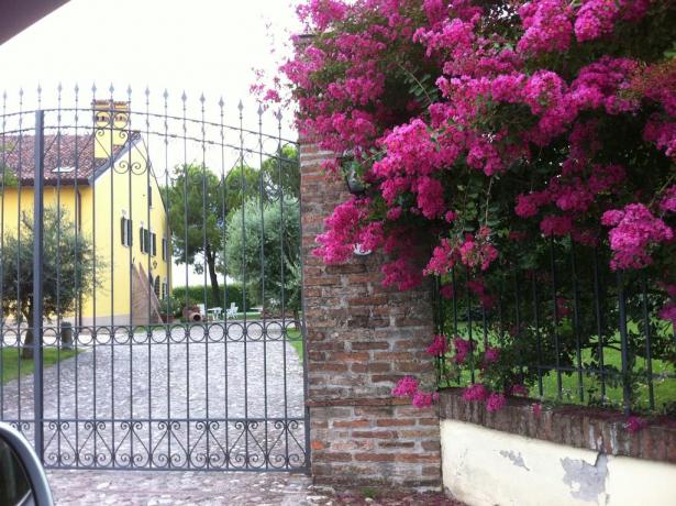 Agriturismo con enorme spazio verde a Mantova 