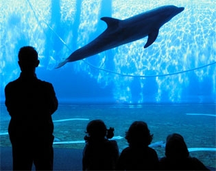 Parco acquatico per famiglie