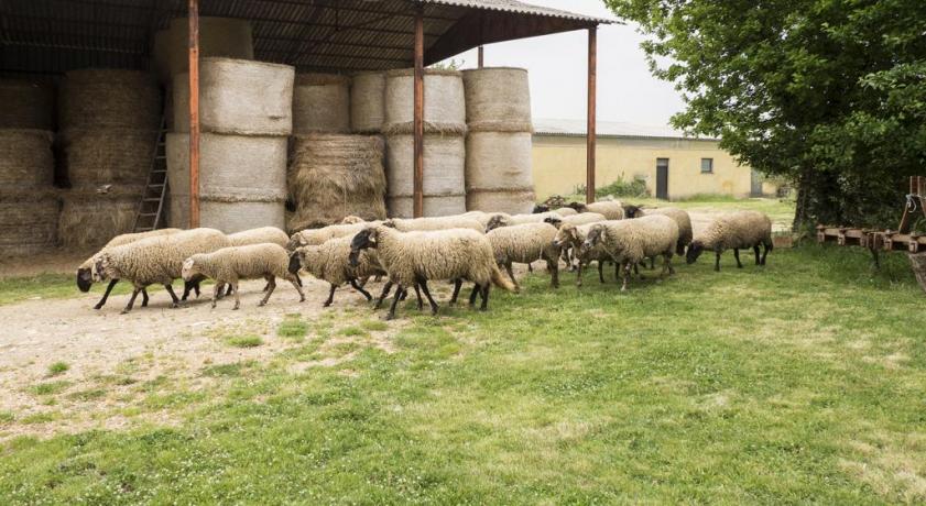 Casale in Azienda agricola con camere e autogestione