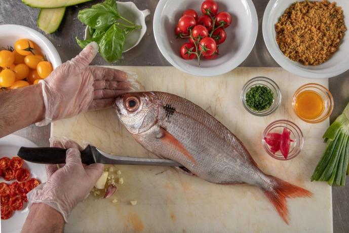 Hotel con ristorante fronte mare Terracina 