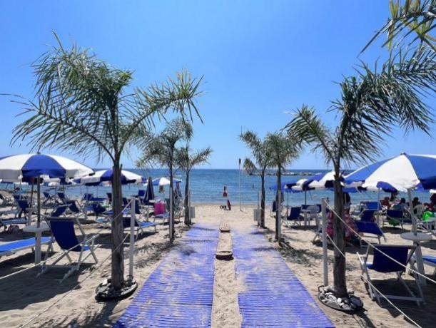 Spiaggia privata a 350mt dall'Hotel