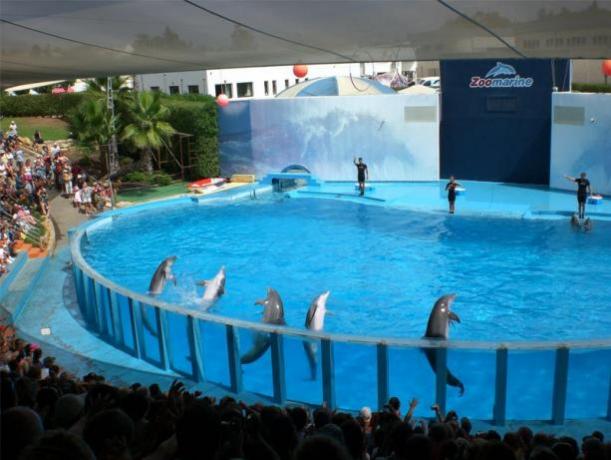 parco zoomarine vicino Hotel 4 stelle a Pomezia
