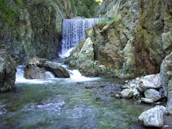Wild and untouched nature in Calabria, bargains!