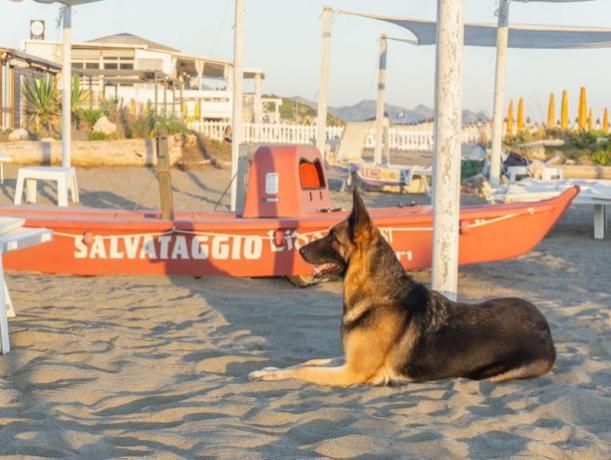 Pattino di Salvataggio in Spiaggia Privata