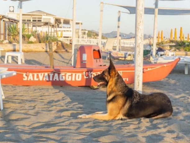 Pattino di Salvataggio in Spiaggia Privata 