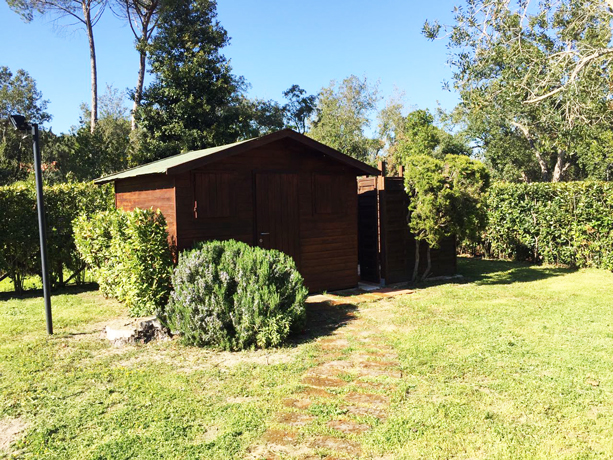 Casa con Giardino, Animali ammessi a Punta Ala 