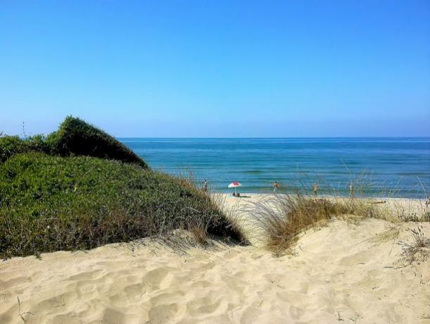 Hotel vicino al Mare di Ostia 