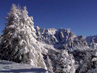 Plenty of snow and large slopes!