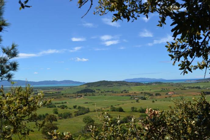 Casa Sull'Albero Piscina Idromassaggio vicino Mare Argentario