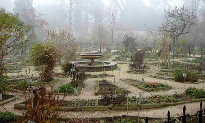 Holidays in Padua: Botanical Garden of Padua