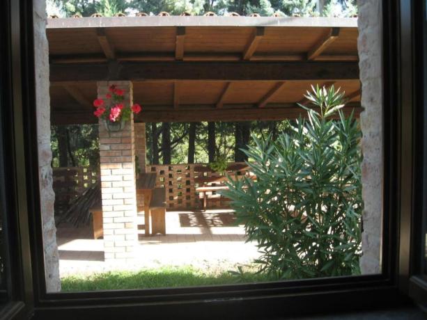 Appartamenti cortile privato e piscina Acqualagna Marche
