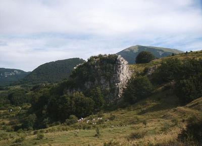 The green Cathedral of the Pollino Park