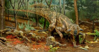 Mostra dinosauri Gubbio. Dove soggiornare