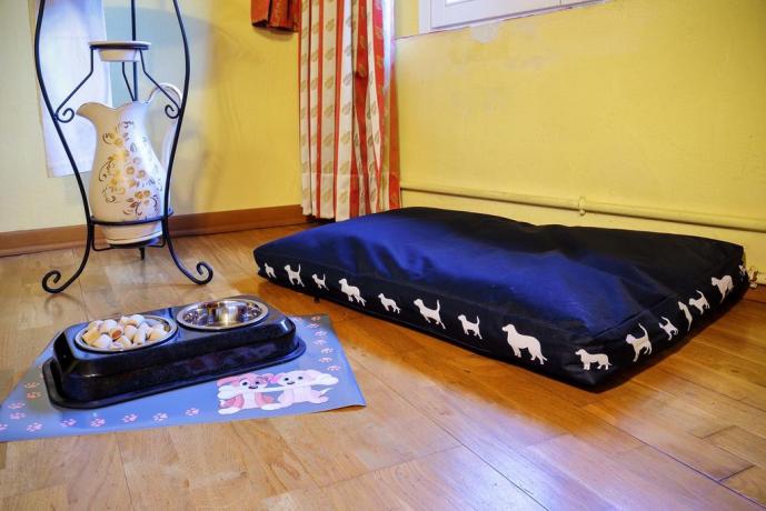 B&B a Montecarlo con animali ammessi