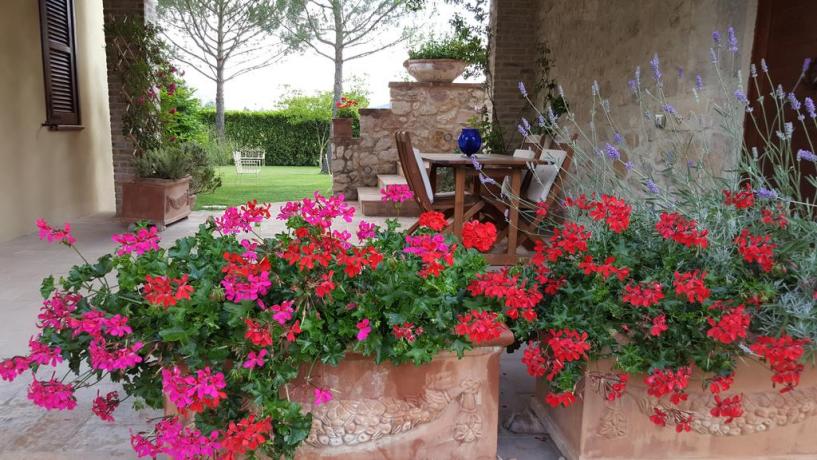 Fiori nel giardino dell'agriturismo a Ferentillo 