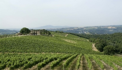 Wine tasting in Tuscany and staying in B & B
