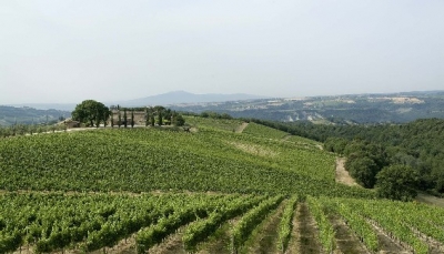 Vino in Toscana dormire e degustare B&B