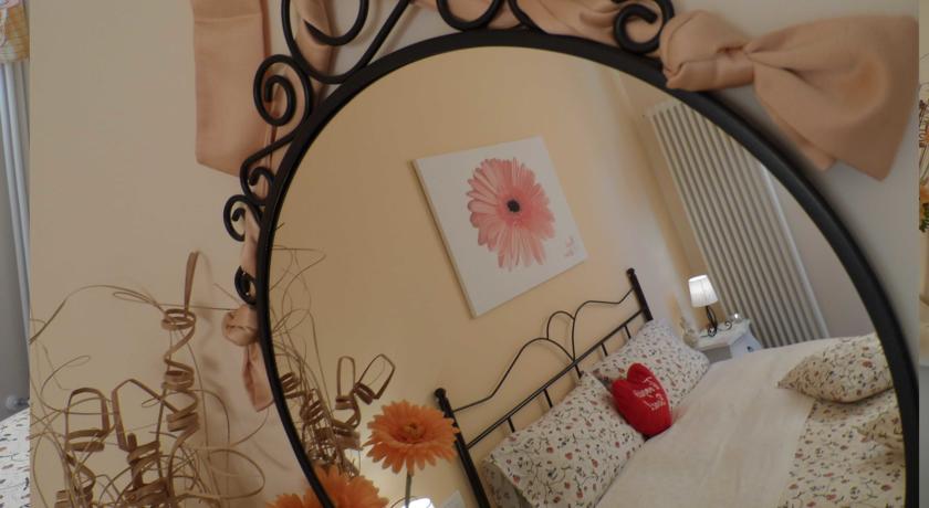 camera gerbera
