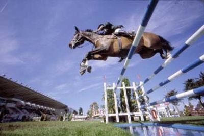 Città di Castello Cavallo Protagonista