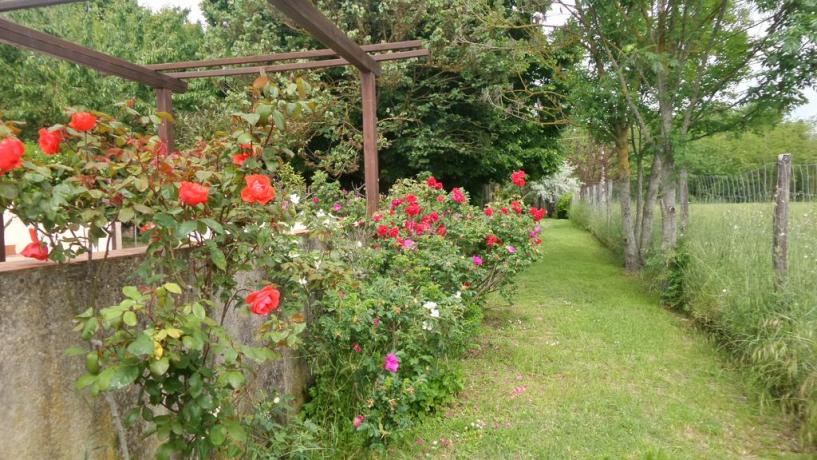Casolare tipico Umbro con grande giardino