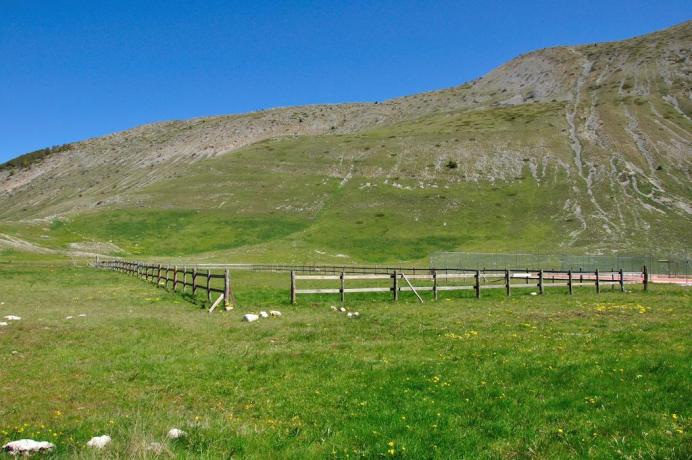 Campi sportivi in erba naturale in Abruzzo Ritiro-Calcio 