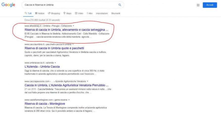 Servizio Prima Posizione su Google: Riserva-Caccia-Umbria