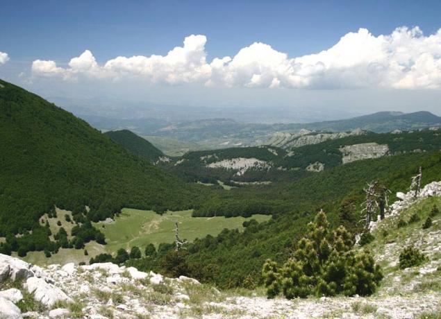 Agriturismo per visitare il Parco Nazionale del Pollino 