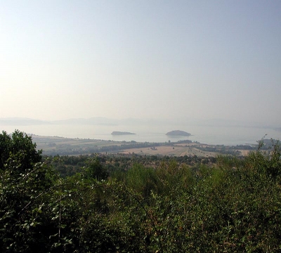 Il verde del Trasimeno