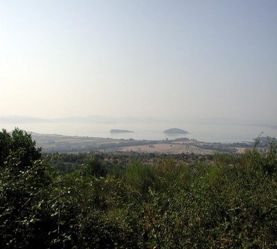 Il verde del Trasimeno 