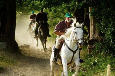 Passeggiate a Cavallo