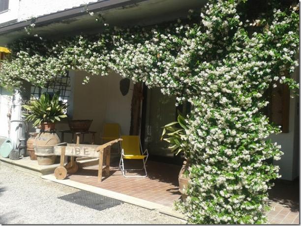 Area Esterna della Villa di Magione