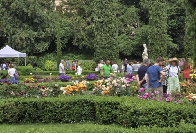 Verona Flower Show - Mostra mercato piante rare e inconsuete