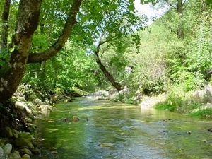 Parco Nazionale di Abruzzo, Lazio e Molise
