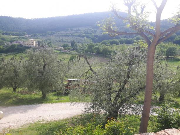 Campagna agriturismo Ferentillo Valnerina