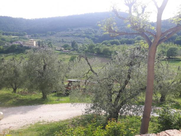 Campagna agriturismo Ferentillo Valnerina 