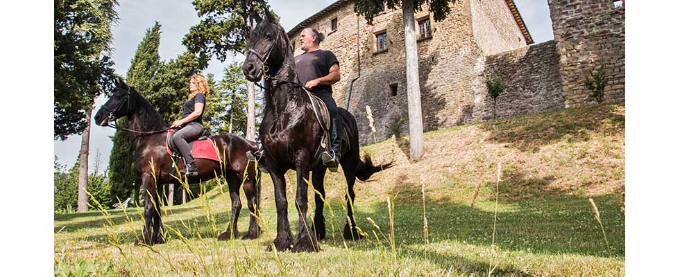 escursioni a cavallo nel verde di gubbio 