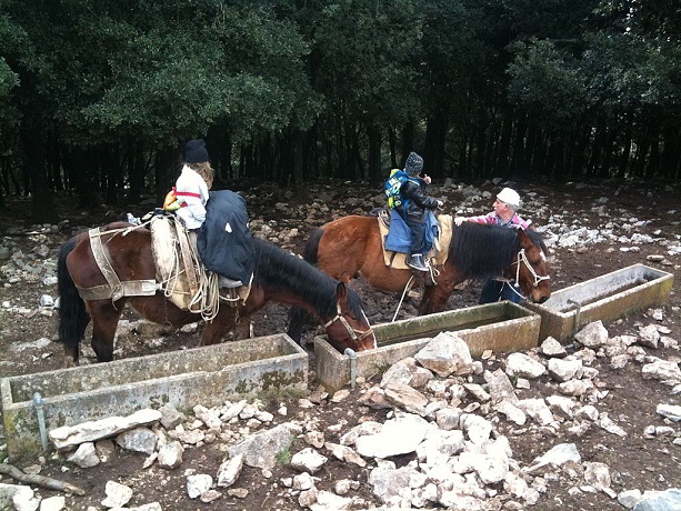 Escursioni a Cavallo vicino Sabaudia
