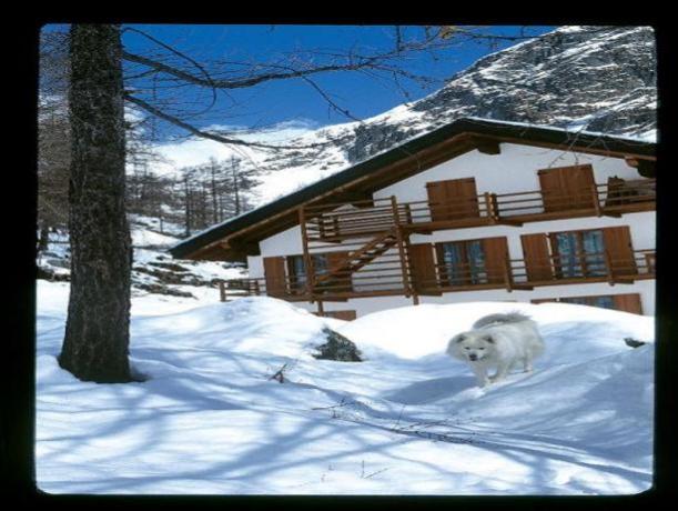 Albergo Immerso nel Comprensorio Sciistico Monterosa Ski 